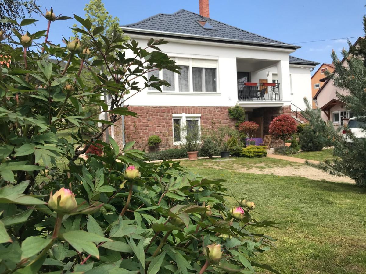 Levendula Apartmanhaz Bytom Extérieur photo