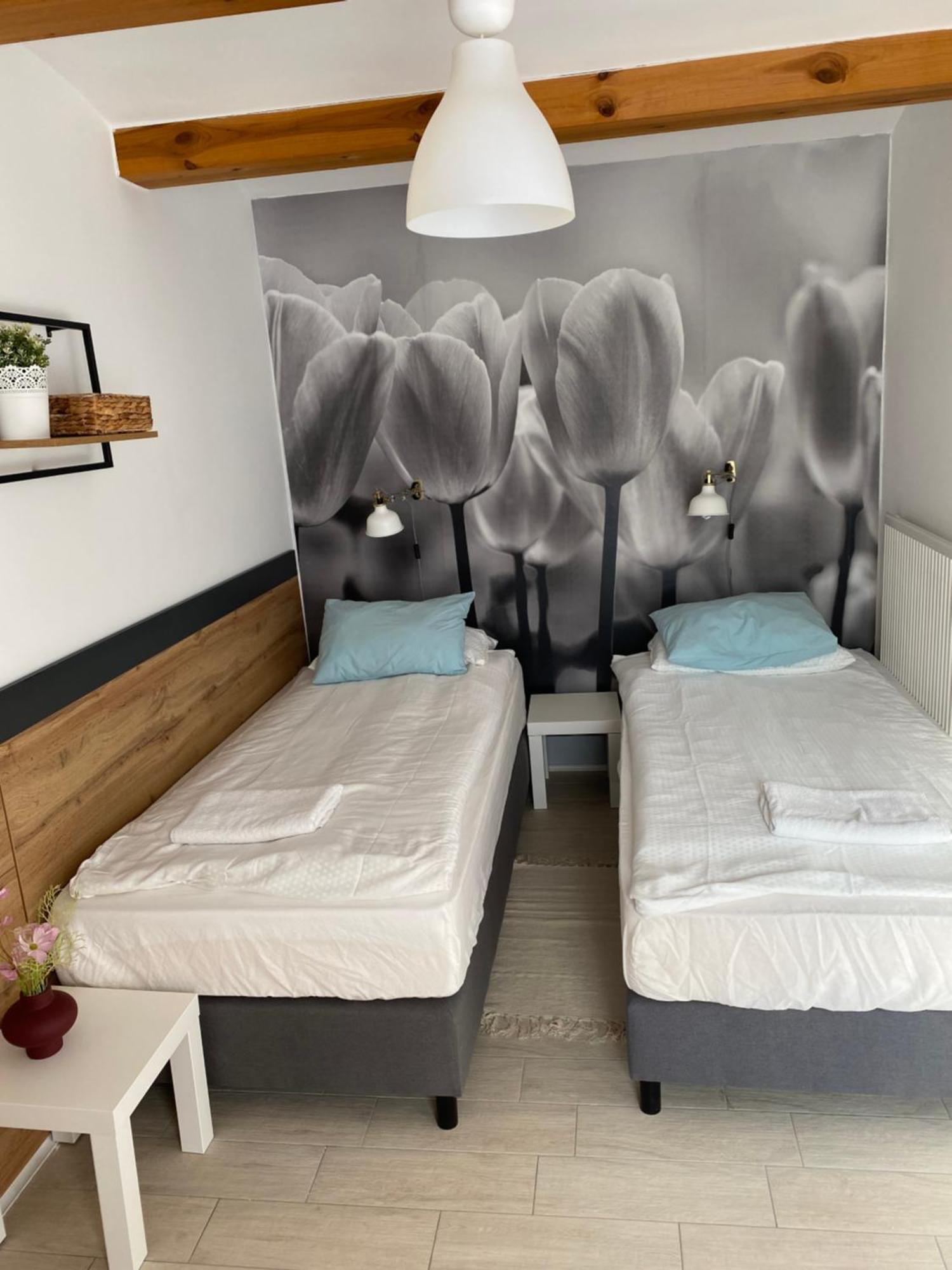 Levendula Apartmanhaz Bytom Extérieur photo